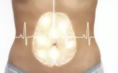 ventre deuxieme cerveau